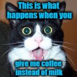 catsuprised | This is what happens when you; give me coffee instead of milk | image tagged in catsuprised | made w/ Imgflip meme maker