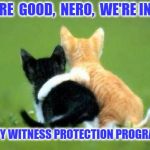 cats couple | WE' RE  GOOD,  NERO,  WE'RE IN THE; KITTY WITNESS PROTECTION PROGRAM | image tagged in cats couple | made w/ Imgflip meme maker