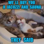 cats in sink | WE' LL  BUY  YOU  A  JACUZZI  AND  SAUNA; THEY   SAID | image tagged in cats in sink | made w/ Imgflip meme maker