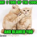 Cats | SHH!   I  TORE  UP  THE  COUCH; AND BLAMED YOU | image tagged in cats | made w/ Imgflip meme maker