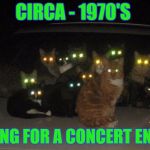 Cats on car | CIRCA - 1970'S; WAITING FOR A CONCERT ENCORE | image tagged in cats on car | made w/ Imgflip meme maker