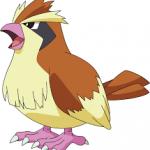 Pidgey