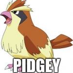 Pidgey | PIDGEY | image tagged in pidgey | made w/ Imgflip meme maker