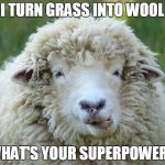 sheep | I TURN GRASS INTO WOOL; WHAT'S YOUR SUPERPOWER? | image tagged in sheep | made w/ Imgflip meme maker