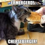 Cheeseburger cat | ERMERGERD! CHERSEBERGER! | image tagged in cheeseburger,cats,fast food | made w/ Imgflip meme maker