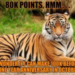 This is a callout message to you guys . . . | 80K POINTS, HMM . . . I WONDER IF I CAN MAKE 100K BEFORE MY ONE YEAR ANNIVERSARY IN OCTOBER . . . | image tagged in srsly tiger,80,100k,100k points,help me,one year anniversary | made w/ Imgflip meme maker