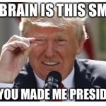 Ro | MY BRAIN IS THIS SMALL; YET YOU MADE ME PRESIDENT | image tagged in ro | made w/ Imgflip meme maker