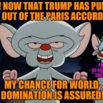 Pinky and the brain | YES! NOW THAT TRUMP HAS PULLED OUT OF THE PARIS ACCORD; I'M NOT SO SURE ABOUT THAT BRAIN; MY CHANCE FOR WORLD DOMINATION IS ASSURED! | image tagged in pinky and the brain | made w/ Imgflip meme maker