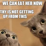 KATHY'S CATS | WE CAN EAT HER NOW; KATHY IS NOT GETTING UP FROM THIS | image tagged in startled cats,kathy griffin crying,kathy griffin isis,kathy griffin,funny cats | made w/ Imgflip meme maker