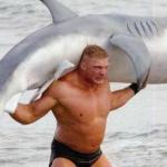 Brock Lesnar and shark meme