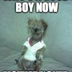 dog meme | WHO'S A GOOD BOY NOW; MOTHERF*CKER | image tagged in dog meme | made w/ Imgflip meme maker