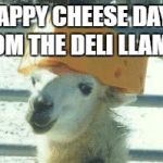 Llama cheese hat | HAPPY CHEESE DAY FROM THE DELI LLAMA! | image tagged in llama cheese hat | made w/ Imgflip meme maker