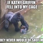 Covfefe | IF KATHY GRIFFIN FELL INTO MY CAGE; THEY NEVER WOULD OF SHOT ME | image tagged in harambe,kathy griffin,memes,socrates | made w/ Imgflip meme maker
