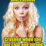 Dumb blonde | Tried to get a helicopter pilot's license; Crashed when she got cold and turned off the big fan | image tagged in dumb blonde | made w/ Imgflip meme maker