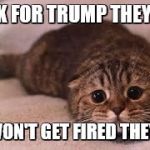 They Said | WORK FOR TRUMP THEY SAID; YOU WON'T GET FIRED THEY SAID | image tagged in they said | made w/ Imgflip meme maker