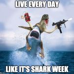 Words to live (or die) by. | LIVE EVERY DAY LIKE IT'S SHARK WEEK | image tagged in raptor riding shark,shark week,live,life | made w/ Imgflip meme maker