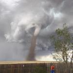 Tornado Lawn Mowing Man