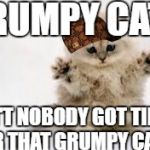 Ain't nobody got time for grumpy cat!  | GRUMPY CAT? AIN'T NOBODY GOT TIME FOR THAT GRUMPY CAT! | image tagged in ain't nobody got time for grumpy cat,scumbag | made w/ Imgflip meme maker