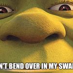 Shrekt | DON'T BEND OVER IN MY SWAMP | image tagged in shrekt | made w/ Imgflip meme maker