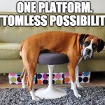 User Experience | ONE PLATFORM.






 BOTTOMLESS POSSIBILITIES. | image tagged in don't underestimate dogs,ux,ui | made w/ Imgflip meme maker
