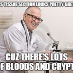 punny scientist | THIS TISSUE SECTION LOOKS PRETTY GHETTO; CUZ THERE'S LOTS OF BLOODS AND CRYPTS | image tagged in punny scientist | made w/ Imgflip meme maker