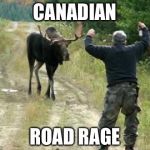 Moose Attack | CANADIAN; ROAD RAGE | image tagged in moose attack | made w/ Imgflip meme maker