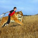 tiger rider