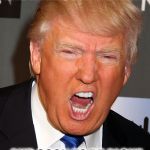 trump yelling | ALL YOU ARE IS MEAN, AND A LIAR, AND PATHETIC; AND SOON TO BE ALONE IN LIFE, AND MEAN | image tagged in trump yelling,political humor,nevertrump,donald trump is an idiot | made w/ Imgflip meme maker