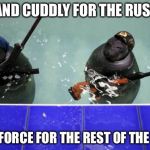 Russian navy seals | CUTE AND CUDDLY FOR THE RUSSIANS, DEADLY FORCE FOR THE REST OF THE WORLD. | image tagged in russian navy seals | made w/ Imgflip meme maker