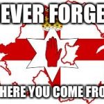 Ulster | NEVER FORGET; WHERE YOU COME FROM | image tagged in ulster | made w/ Imgflip meme maker