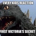 Surprised Godzilla | EVERY KIDS REACTION; TO THEIR FIRST VICTORIA'S SECRET MAGIZENE | image tagged in surprised godzilla | made w/ Imgflip meme maker