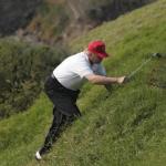 Donald Trump hunting for a golfball meme