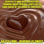 Chocolate | SCIENTISTS HAVE DISCOVERED THAT THINKING ABOUT REVENGE LIGHTS UP THE SAME AREAS OF THE BRAIN AS CHOCOLATE. SO IT'S TRUE… REVENGE IS SWEET | image tagged in chocolate,revenge,funny,funny memes,revenge is sweet | made w/ Imgflip meme maker