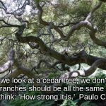 Blue Atlas Cedar Tree | When we look at a cedar tree, we don’t think: ‘The branches should be all the same length.’ We think: ‘How strong it is.’

Paulo Coehlo | image tagged in blue atlas cedar tree | made w/ Imgflip meme maker