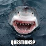 O Hai Shark | QUESTIONS? | image tagged in o hai shark | made w/ Imgflip meme maker