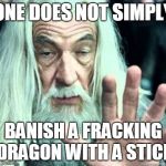 gandolf release | ONE DOES NOT SIMPLY; BANISH A FRACKING DRAGON WITH A STICK | image tagged in gandolf release | made w/ Imgflip meme maker