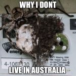 Spiders! Hell No!  | WHY I DONT; LIVE IN AUSTRALIA | image tagged in spiders hell no | made w/ Imgflip meme maker