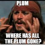Jack Sparrow | PLUM; WHERE HAS ALL THE PLUM GONE? | image tagged in jack sparrow | made w/ Imgflip meme maker