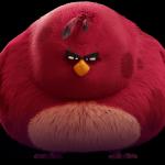 Angry Birds - Terence meme