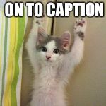 Hands up kitten | I IZ HOLDING ON TO CAPTION | image tagged in hands up kitten | made w/ Imgflip meme maker