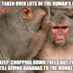 Whispering Monkeys | THEY'VE TAKEN OVER LOTS OF THE HUMAN'S HOUSES; THEY KEEP  CHOPPING DOWN TREES BUT THEY'RE STILL GIVING BANANAS TO THE MONKEYS | image tagged in whispering monkeys | made w/ Imgflip meme maker