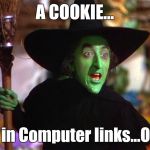 The Wicked Witch Likes GIRL SCOUT COOKIES ? | A COOKIE... as in Computer links...OK? | image tagged in memes | made w/ Imgflip meme maker