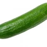 Vegan Sex Toy