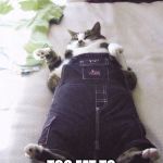 Fat Cat Meme 2 | WHEN YOU'RE; TOO FAT TO GET UP 😂 | image tagged in fat cat meme 2 | made w/ Imgflip meme maker