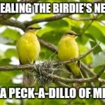 Birds | STEALING THE BIRDIE'S NEST; IS A PECK-A-DILLO OF MINE | image tagged in birds | made w/ Imgflip meme maker