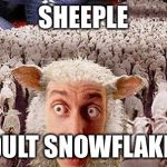 Sheeple | SHEEPLE; ADULT SNOWFLAKES | image tagged in sheeple | made w/ Imgflip meme maker
