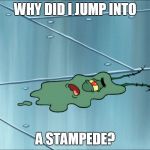 Run Over Plankton | WHY DID I JUMP INTO; A STAMPEDE? | image tagged in run over plankton | made w/ Imgflip meme maker