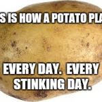 For More Info, Read the 7 Volume Reference | THIS IS HOW A POTATO PLAYS; EVERY DAY.  EVERY STINKING DAY. | image tagged in memes | made w/ Imgflip meme maker