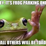 Angry Tree Frog | HEY, IT'S FROG PARKING ONLY; ALL OTHERS WILL BE TOAD | image tagged in angry tree frog | made w/ Imgflip meme maker