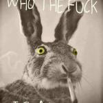 Who the F*** is Alice Rabbit